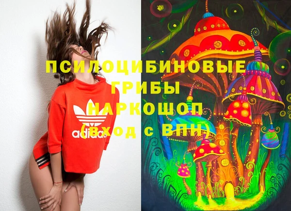 каннабис Аркадак